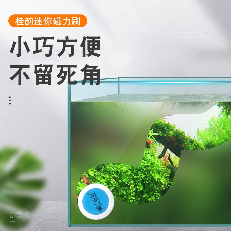 藍昂（LANANG）魚缸：藍昂魚缸蓋板用戶評價藍昂魚缸氧氣泵配件功能