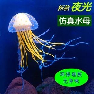 水母魚缸圖片：水母魚缸圖片大全