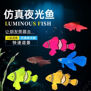 水母魚缸圖片：水母魚缸圖片大全 魚缸百科 第4張