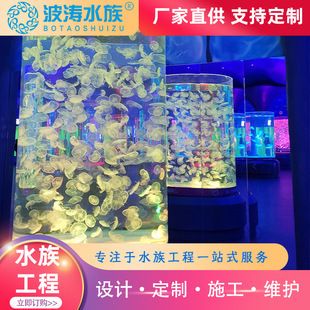 水母魚缸圖片：水母魚缸圖片大全 魚缸百科 第5張