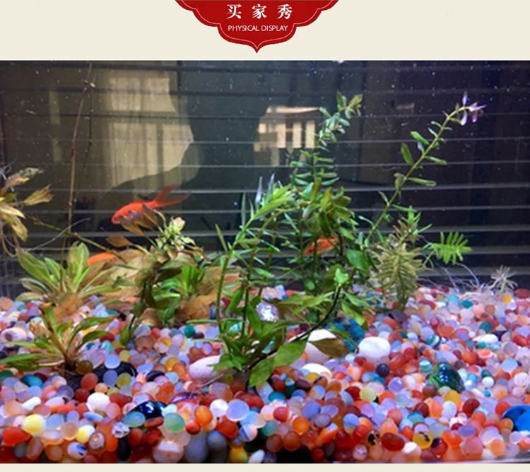 彩色魚(yú)缸圖片欣賞：彩色魚(yú)缸簡(jiǎn)筆畫圖片帶顏色可愛(ài)的相關(guān)信息如何繪制逼真魚(yú)缸插畫