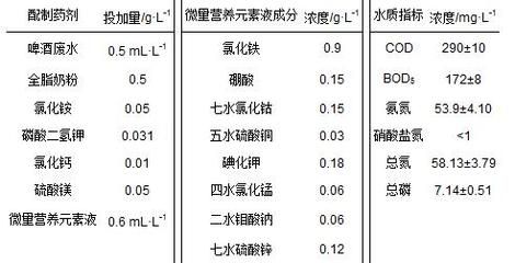 申古銀版魚適宜水質(zhì)指標：關于申古銀版魚適宜水質(zhì)指標并沒有完全相關的直接答案 龍魚百科 第3張