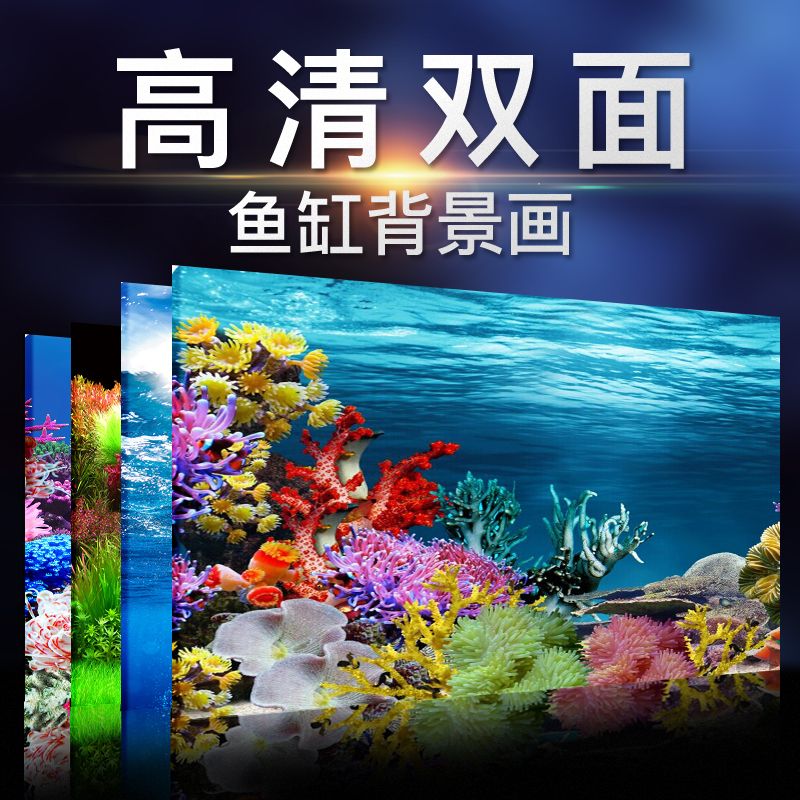 魚缸里的珊瑚石：珊瑚石在魚缸中的應(yīng)用 魚缸百科 第4張