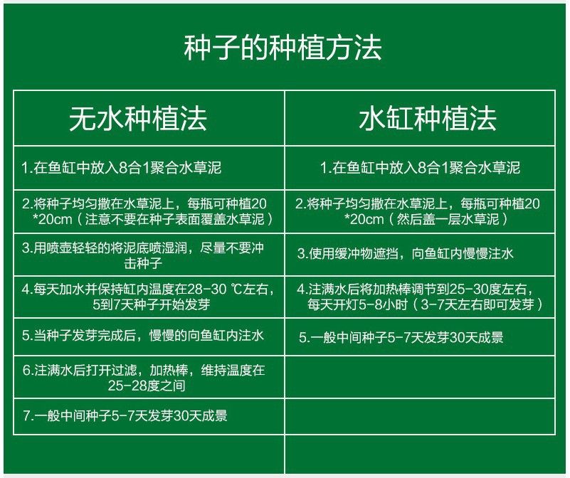 魚缸彩葉草的養(yǎng)殖方法和注意事項視頻教程：彩葉草的養(yǎng)殖方法和注意事項 魚缸百科 第5張