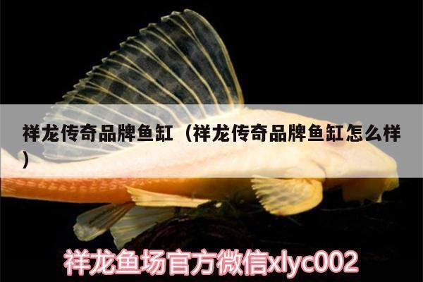 祥龍電器魚缸怎么樣：祥龍電器魚缸價格對比祥龍電器魚缸價格對比