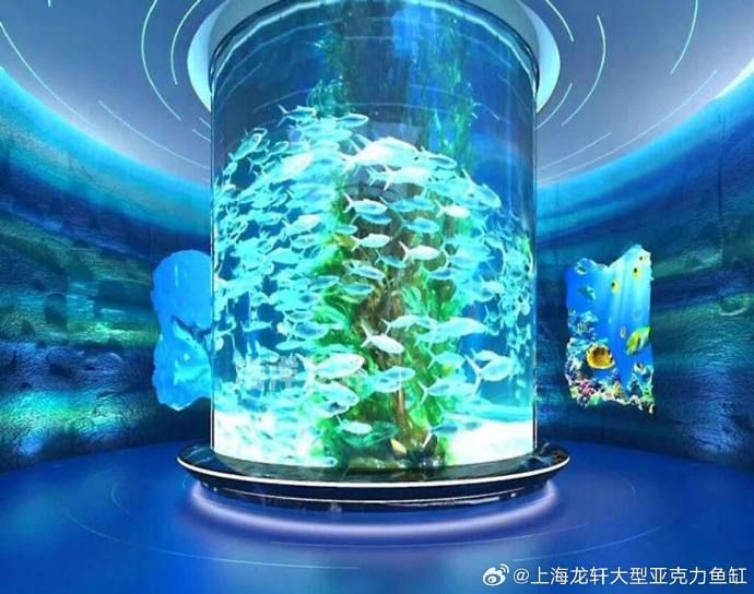 魚缸里為什么有銹跡：如何自然去除魚缸褐藻,魚缸水質(zhì)改善的具體方法 魚缸百科 第4張