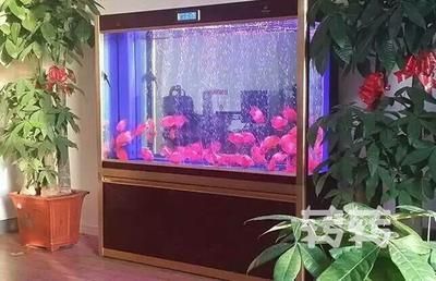 森森魚缸燈led分解圖：森森魚缸燈led安裝和維修圖解