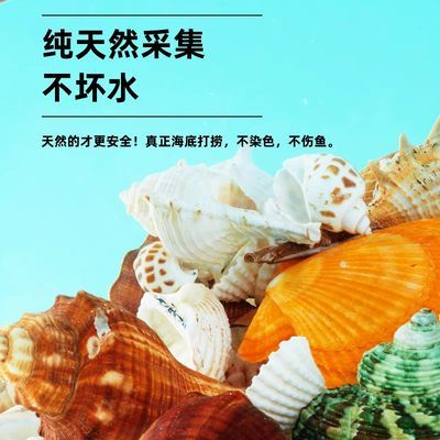 魚缸裝飾品的搭配技巧：如何搭配魚缸裝飾品？ 魚缸百科 第1張