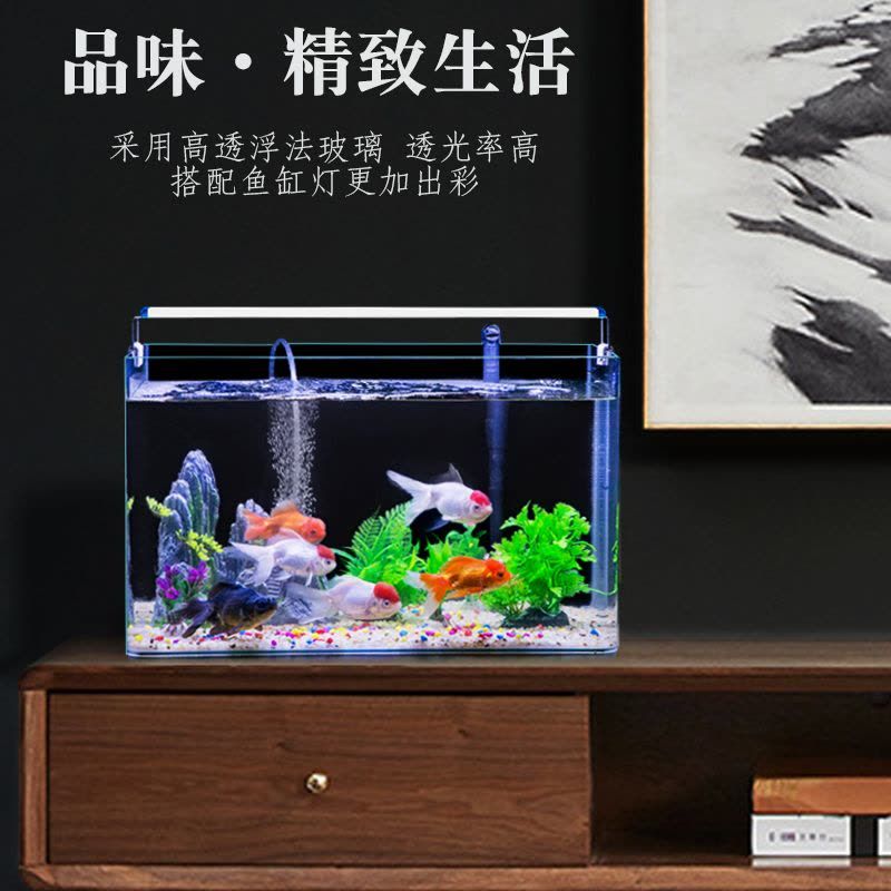 魚缸裝飾品的搭配技巧：如何搭配魚缸裝飾品？ 魚缸百科 第3張