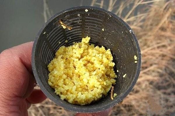 金龍魚好還是長壽花：金龍魚和長壽花的植物油有什么區(qū)別？ 水族問答 第1張