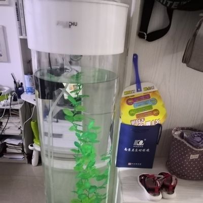 家樂廚魚缸怎么樣：家樂廚魚缸與其他品牌對比，家樂廚魚缸的日常維護方法 魚缸百科 第2張