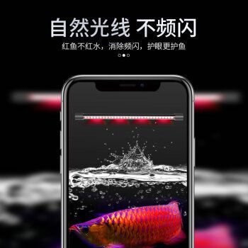 森森魚(yú)缸專用燈：森森魚(yú)缸專用燈使用效果展示 魚(yú)缸百科 第5張