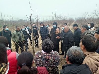 金龍魚和魯花哪個(gè)好?：在討論金龍魚與魯花哪個(gè)更好之前我們需先了解這兩家公司的基本情況 水族問答 第1張