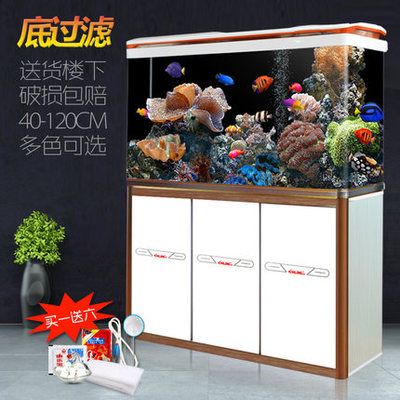 西龍魚缸質量怎么樣：深入解析西龍魚缸的高質量特性 魚缸百科 第1張