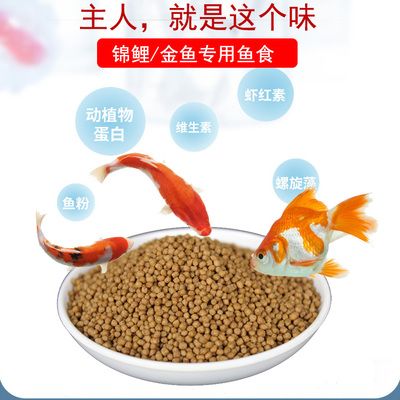 金龍魚和其他魚混養(yǎng)怎么喂食：金龍魚與其他魚類混養(yǎng)的喂食問題 水族問答 第1張