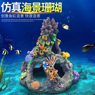 魚缸珊瑚造景：如何通過(guò)魚缸珊瑚造景提升觀賞體驗(yàn)和水質(zhì)環(huán)境 魚缸百科 第4張