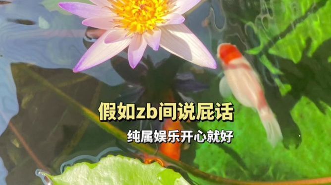 金龍魚和銀龍魚好養(yǎng)嗎：金龍魚和銀龍魚有什么不同？ 水族問答 第1張