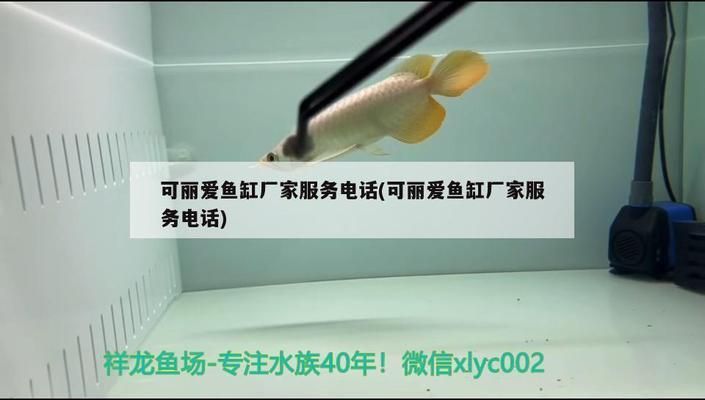 可麗愛魚缸廠家服務電話：可麗愛魚缸售后服務電話 魚缸百科 第3張