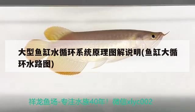 文氏原理的魚缸：文氏原理在魚缸設(shè)計中的應(yīng)用 魚缸百科 第1張