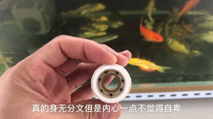 文氏原理的魚缸：文氏原理在魚缸設(shè)計中的應(yīng)用 魚缸百科 第2張