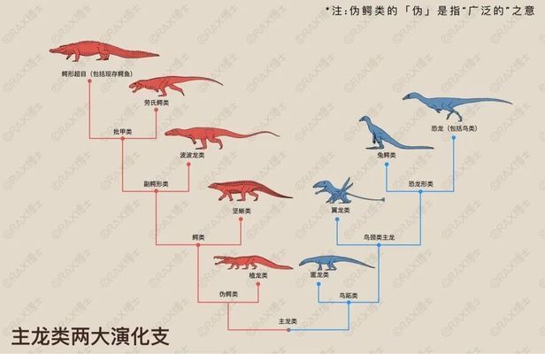 金龍魚黑色背景增加金質(zhì)效果 水族問答 第1張