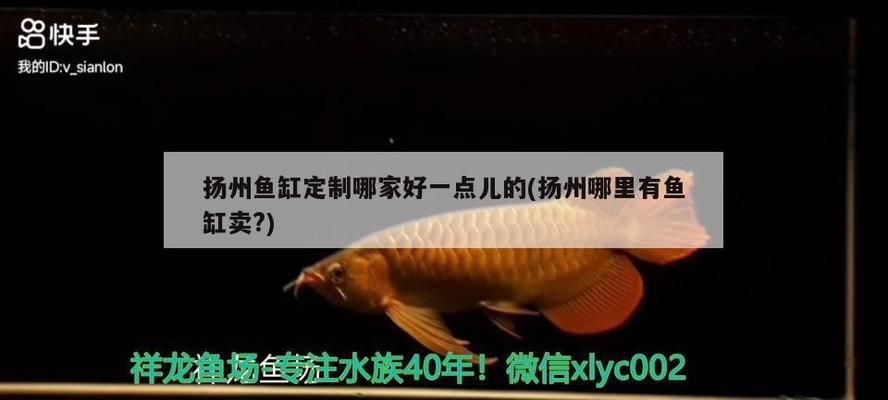 江彩魚缸生產(chǎn)廠家地址查詢：關(guān)于“江彩魚缸生產(chǎn)廠家地址查詢詳情”的詳細(xì)信息 魚缸百科 第4張