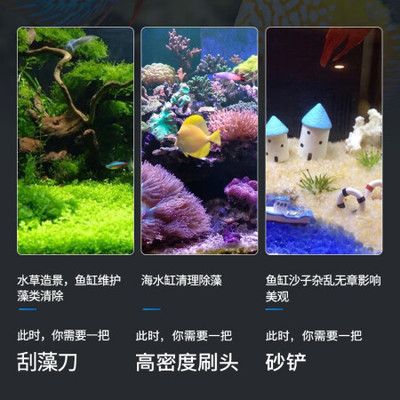 魚(yú)缸買啥樣的好：亞克力魚(yú)缸與玻璃魚(yú)缸的優(yōu)劣對(duì)比 魚(yú)缸百科 第4張