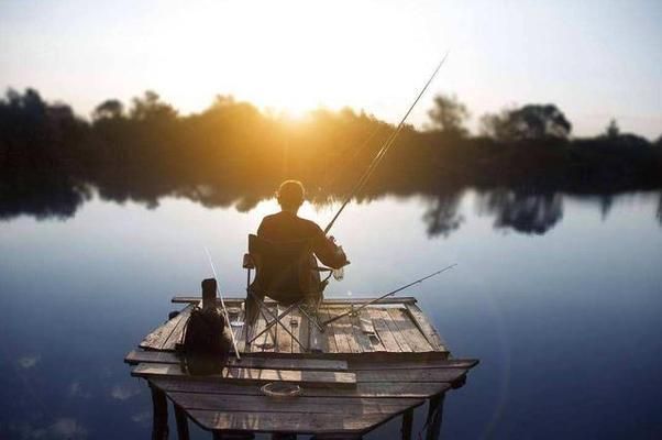 金龍魚活苗：我如何購買到高質(zhì)量的金龍魚活苗？ 水族問答 第1張