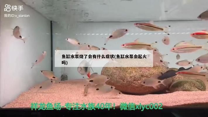 魚缸水泵不運(yùn)行了是燒了嗎：魚缸水泵不運(yùn)行可能是多種原因引起魚缸水泵不運(yùn)行的原因 魚缸百科 第2張