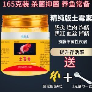 龍魚治療腸炎土霉素用量多少克：龍魚腸炎治療中土霉素的使用 龍魚百科 第3張