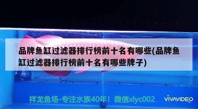 魚缸過(guò)濾品牌排行榜前十名：2024年魚缸過(guò)濾器品牌品牌排行榜前十名 魚缸百科 第1張