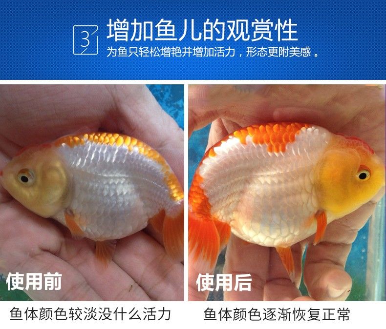 紅龍魚增色劑：關(guān)于紅龍魚增色劑使用的一些建議 紅龍魚百科 第1張