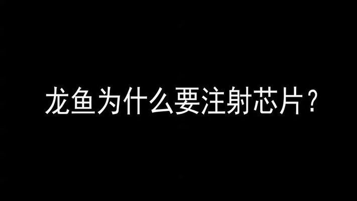 紅龍魚的芯片是怎么回事：關(guān)于紅龍魚芯片的詳細(xì)介紹 紅龍魚百科 第1張