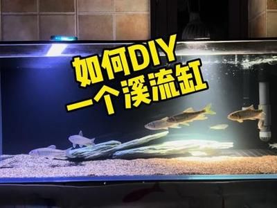 晶晶魚缸好么：晶晶魚缸與森森對比評測 魚缸百科 第3張