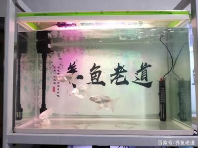 魚缸水質(zhì)維護(hù)誤區(qū)：關(guān)于魚缸水質(zhì)維護(hù)的誤區(qū)及其正確做法