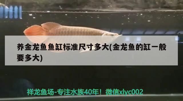 龍魚缸推薦尺寸表：龍魚缸推薦尺寸為長150厘米，寬80厘米，高60厘米 魚缸百科 第2張