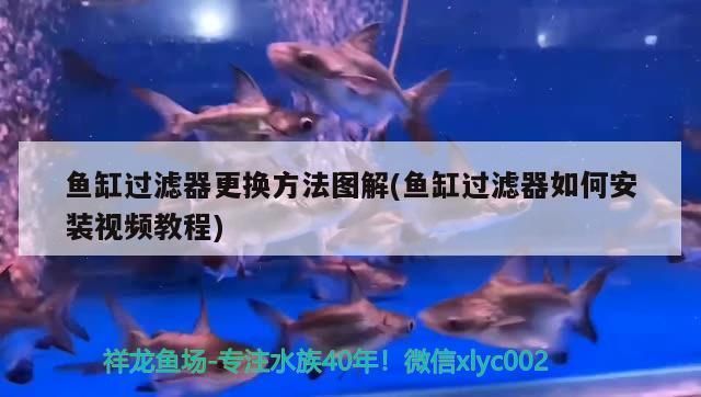 歐式魚缸過濾更改視頻：歐式魚缸過濾器改裝視頻 魚缸百科 第1張