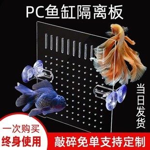 魚缸隔離版：自制魚缸隔離板教程，魚缸隔離板維護與清潔方法 魚缸百科 第5張