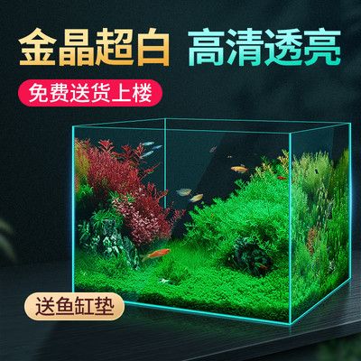 草缸和魚缸的區(qū)別圖片：草缸與魚缸的區(qū)別 魚缸百科 第1張