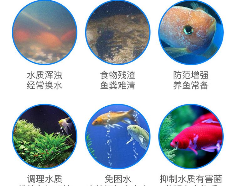 魚缸凈水劑的使用方法：如何選擇合適的魚缸凈水劑，魚缸凈水劑與過濾系統(tǒng)的配合 魚缸百科 第4張