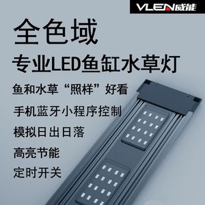 金龍魚可以和銀龍混養(yǎng)嗎：金龍魚和銀龍可以混養(yǎng)嗎 水族問答 第2張