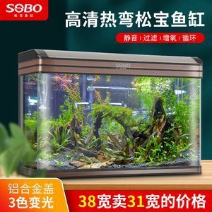 一米的魚缸價格：一米的魚缸價格是多少 魚缸百科 第3張