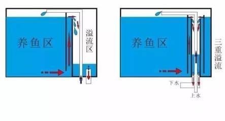 魚缸最佳擺放高度指南：魚缸的最佳擺放高度應該怎么定？ 魚缸百科 第4張