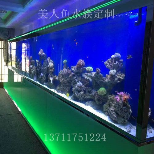 高端魚缸定制多少錢：高端魚缸定制的價格不是固定的，而是受到多種因素影響 魚缸百科 第3張