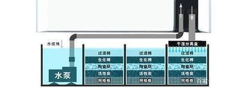 魚缸水泵規(guī)格：如何選擇魚缸水泵 魚缸百科 第2張