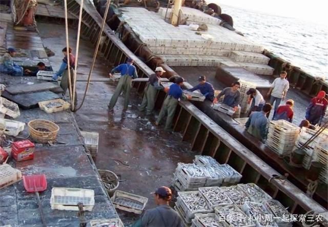 順豐速運魚苗配送流程：順豐速運魚苗配送流程優(yōu)化 龍魚百科 第5張