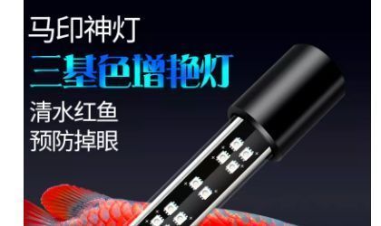 龍魚增艷燈和發(fā)色燈的區(qū)別是什么：龍魚增艷燈與發(fā)色燈的區(qū)別 龍魚百科 第5張