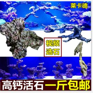 魚缸出魚魔術教學圖解：魚缸養(yǎng)魚的魔術教學圖解 魚缸百科 第1張