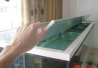 出魚缸是什么原因：如何防止魚缸跳缸 魚缸百科 第2張