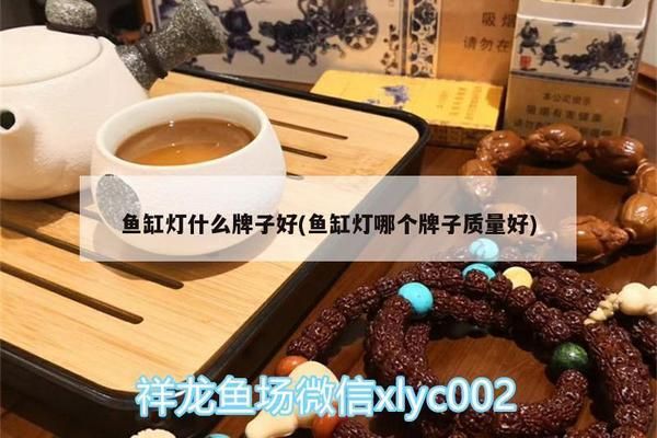 魚缸燈哪個品牌耐用 論壇：耐用且性能卓越的魚缸燈品牌